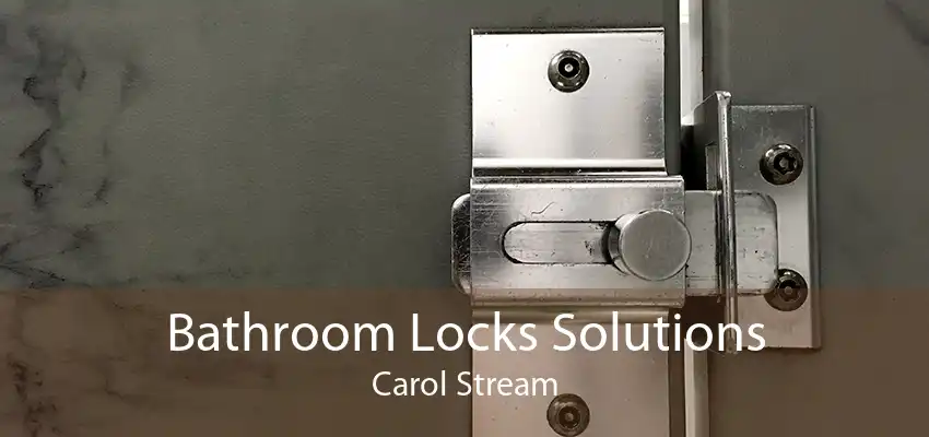 Bathroom Locks Solutions Carol Stream
