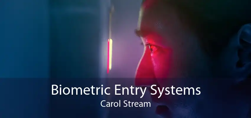 Biometric Entry Systems Carol Stream