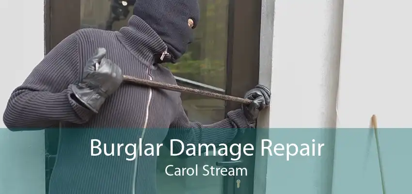 Burglar Damage Repair Carol Stream