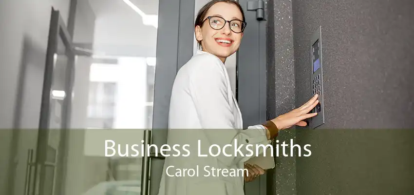 Business Locksmiths Carol Stream