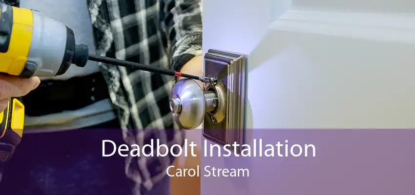 Deadbolt Installation Carol Stream