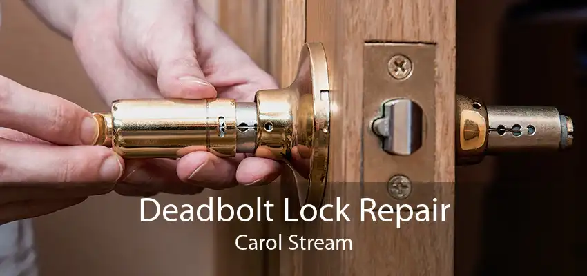 Deadbolt Lock Repair Carol Stream