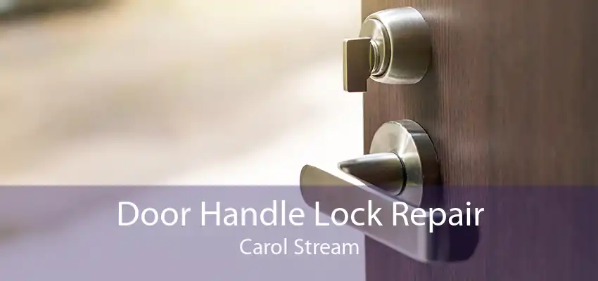 Door Handle Lock Repair Carol Stream