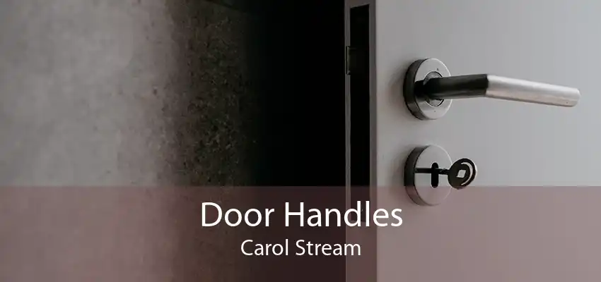 Door Handles Carol Stream