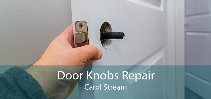 Door Knobs Repair Carol Stream