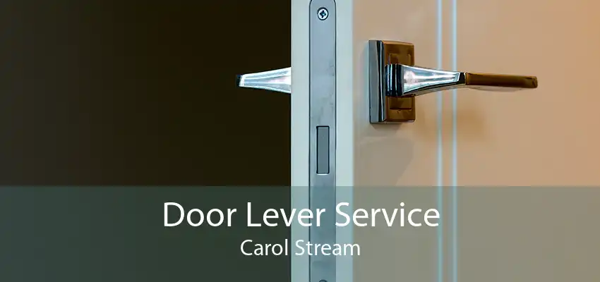 Door Lever Service Carol Stream