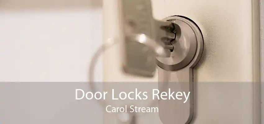 Door Locks Rekey Carol Stream