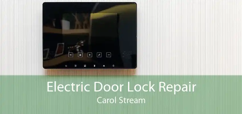Electric Door Lock Repair Carol Stream
