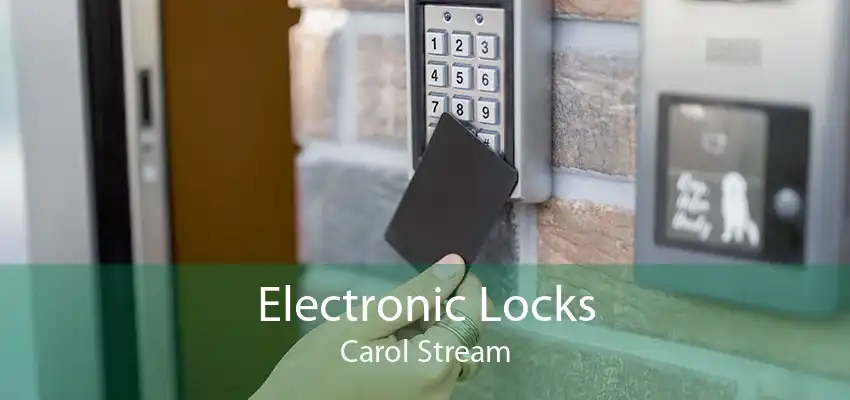 Electronic Locks Carol Stream