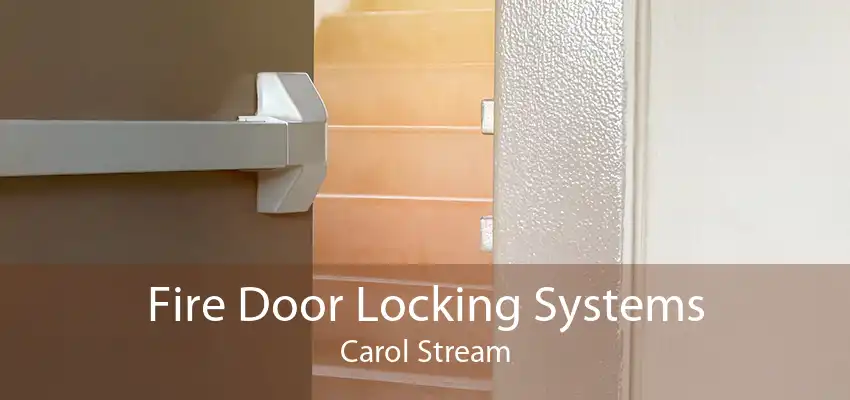 Fire Door Locking Systems Carol Stream