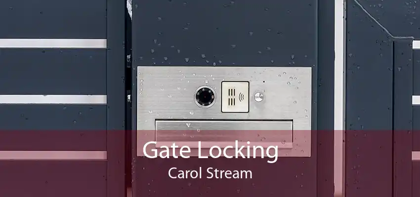 Gate Locking Carol Stream