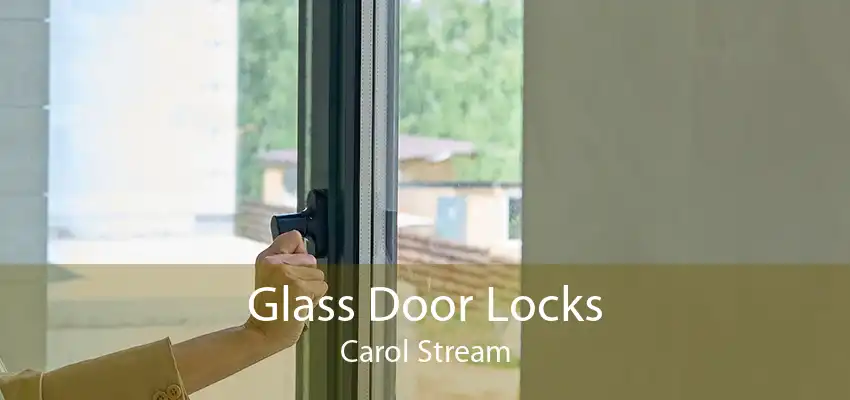 Glass Door Locks Carol Stream