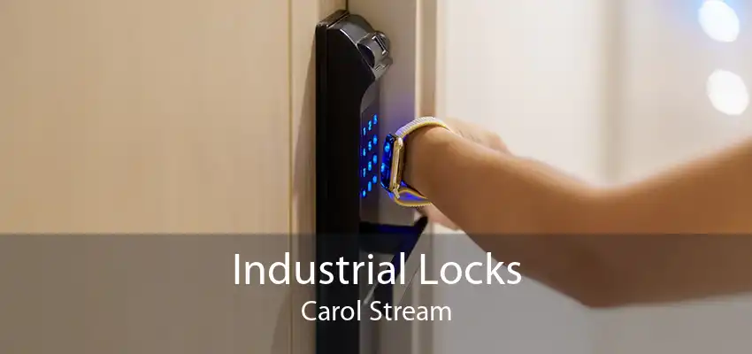 Industrial Locks Carol Stream