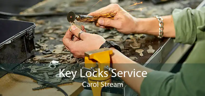 Key Locks Service Carol Stream