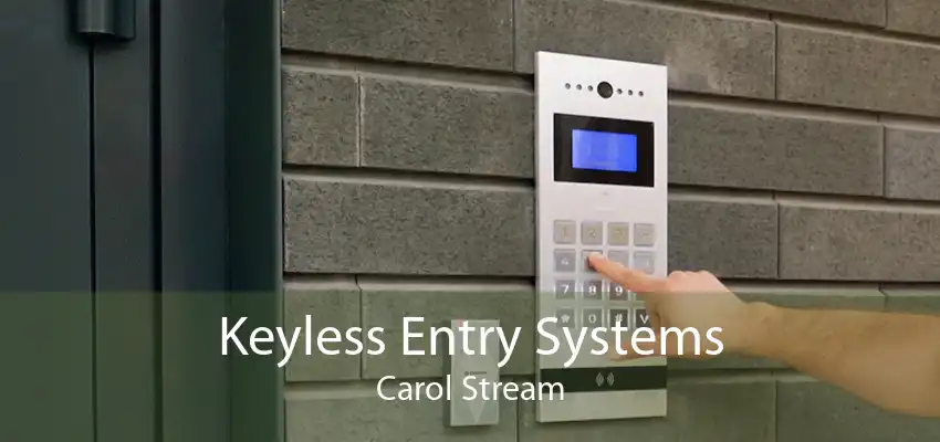 Keyless Entry Systems Carol Stream