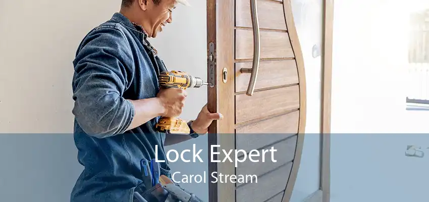 Lock Expert Carol Stream