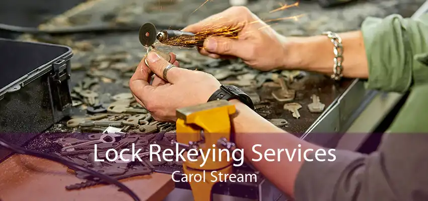 Lock Rekeying Services Carol Stream