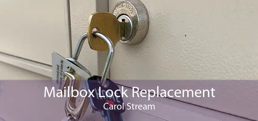 Mailbox Lock Replacement Carol Stream