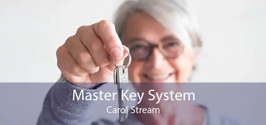 Master Key System Carol Stream