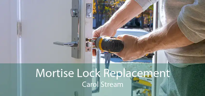 Mortise Lock Replacement Carol Stream