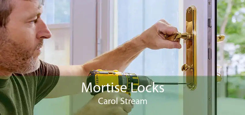 Mortise Locks Carol Stream