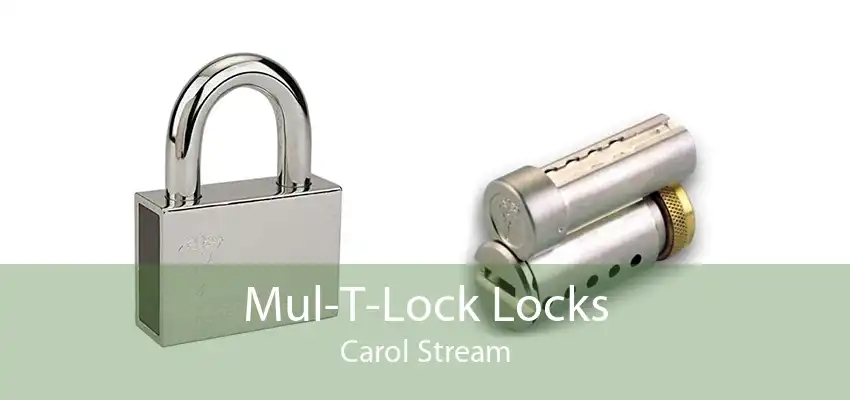 Mul-T-Lock Locks Carol Stream