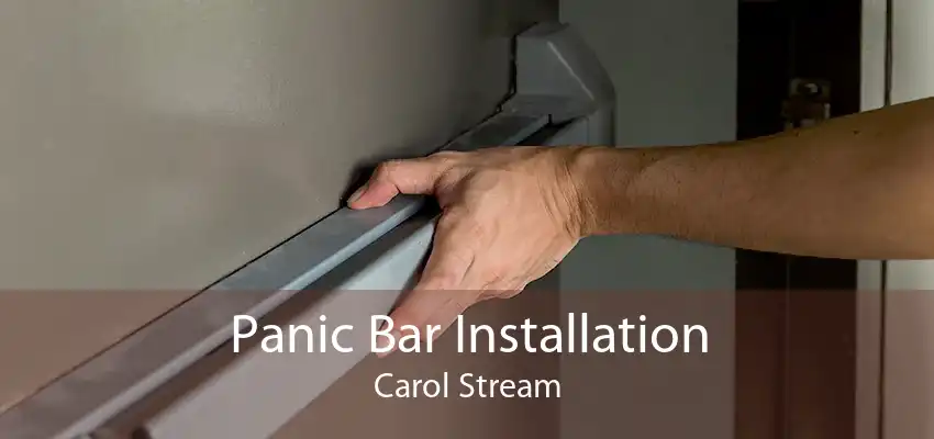 Panic Bar Installation Carol Stream