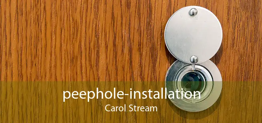 peephole-installation Carol Stream
