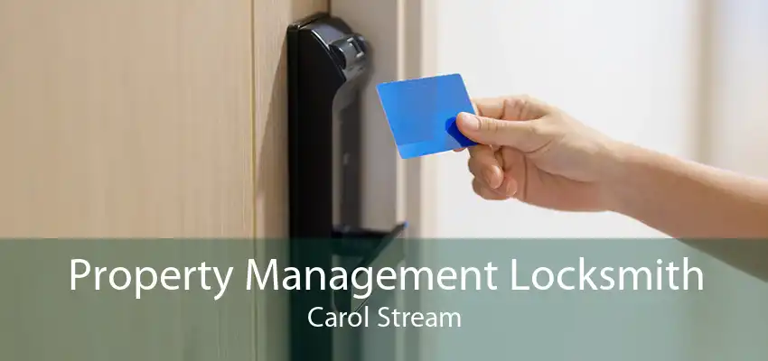 Property Management Locksmith Carol Stream