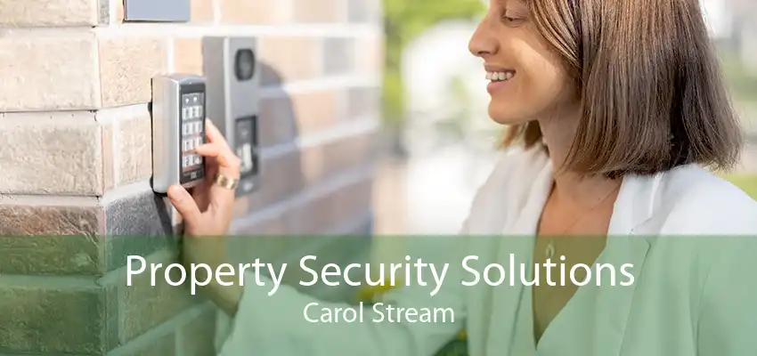 Property Security Solutions Carol Stream