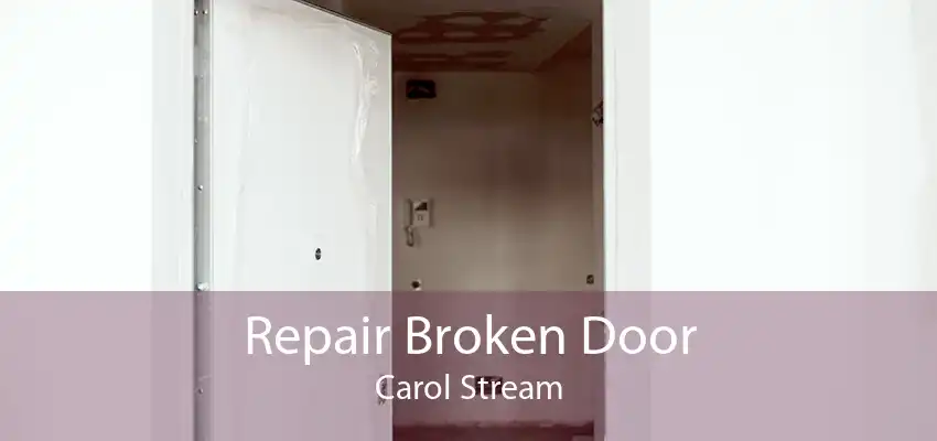 Repair Broken Door Carol Stream