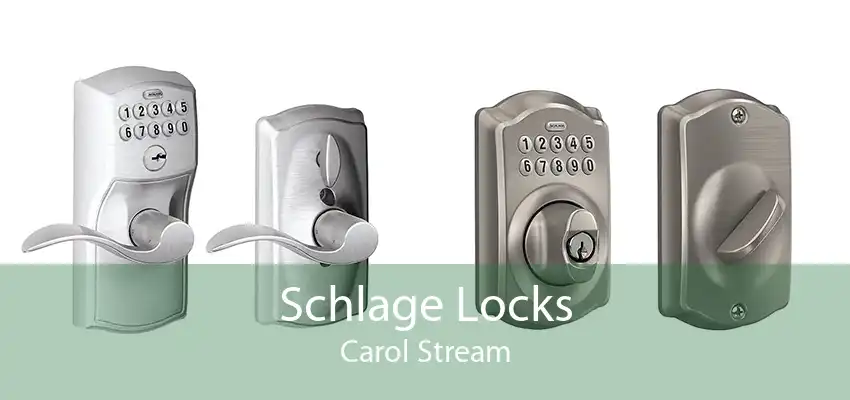 Schlage Locks Carol Stream