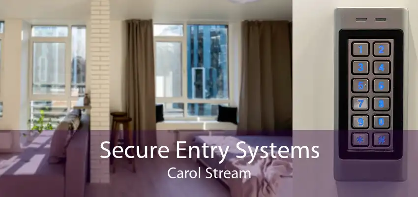Secure Entry Systems Carol Stream