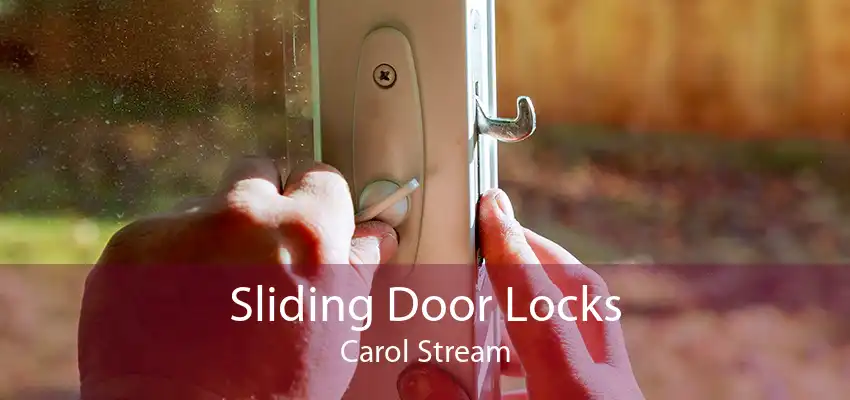 Sliding Door Locks Carol Stream