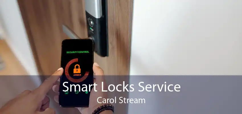Smart Locks Service Carol Stream