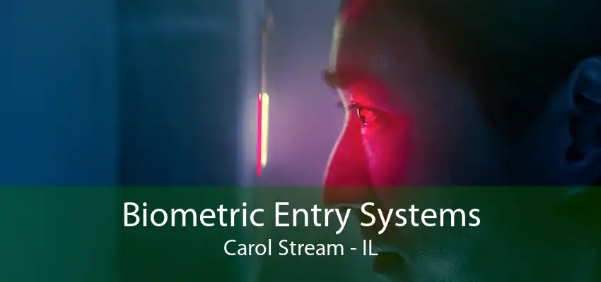 Biometric Entry Systems Carol Stream - IL