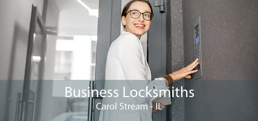 Business Locksmiths Carol Stream - IL