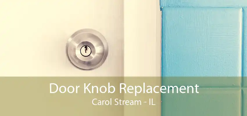 Door Knob Replacement Carol Stream - IL