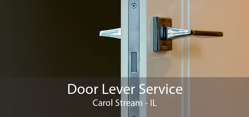 Door Lever Service Carol Stream - IL