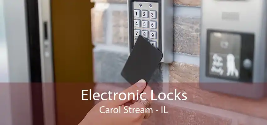 Electronic Locks Carol Stream - IL