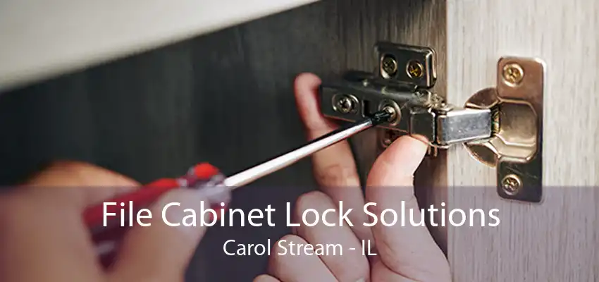 File Cabinet Lock Solutions Carol Stream - IL