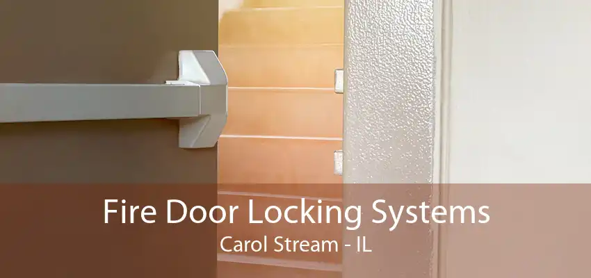 Fire Door Locking Systems Carol Stream - IL