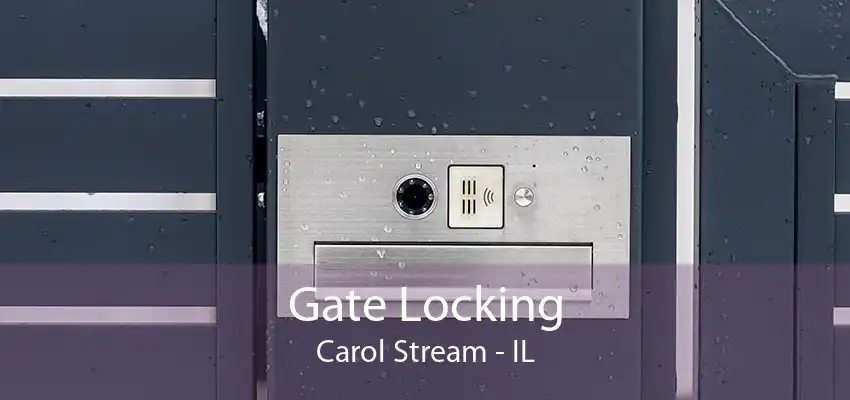 Gate Locking Carol Stream - IL