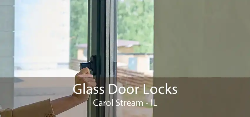 Glass Door Locks Carol Stream - IL