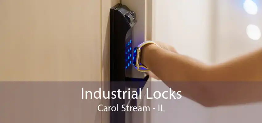 Industrial Locks Carol Stream - IL