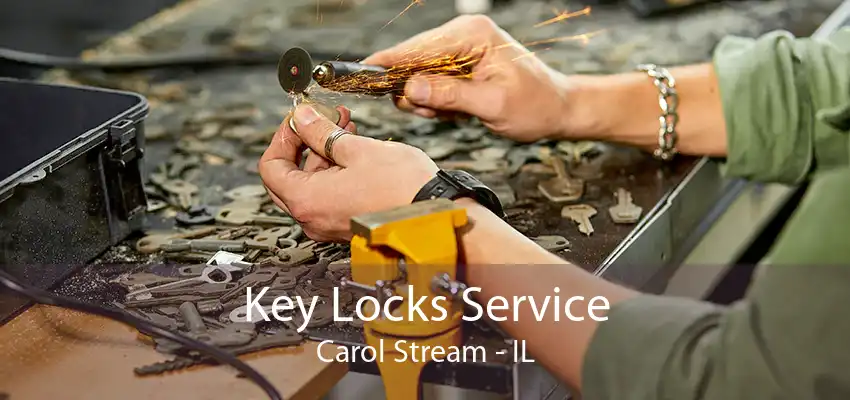 Key Locks Service Carol Stream - IL