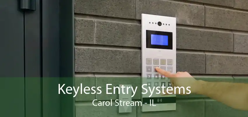 Keyless Entry Systems Carol Stream - IL