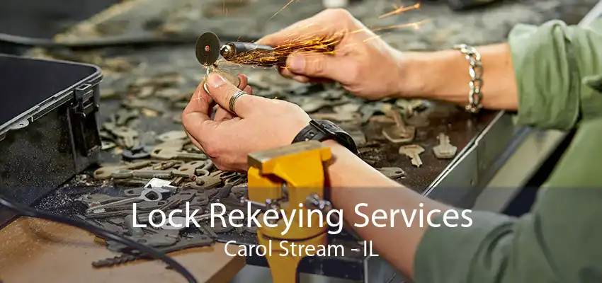 Lock Rekeying Services Carol Stream - IL