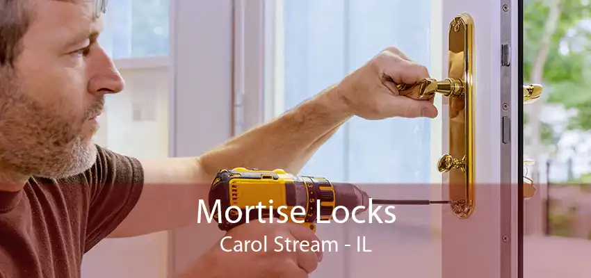 Mortise Locks Carol Stream - IL