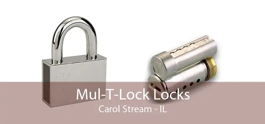 Mul-T-Lock Locks Carol Stream - IL